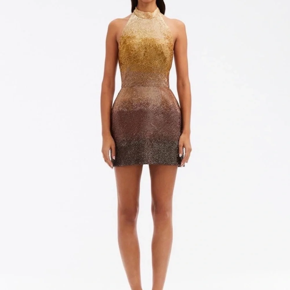 Oscar De La Renta Beaded Dress - Picture 7 of 13